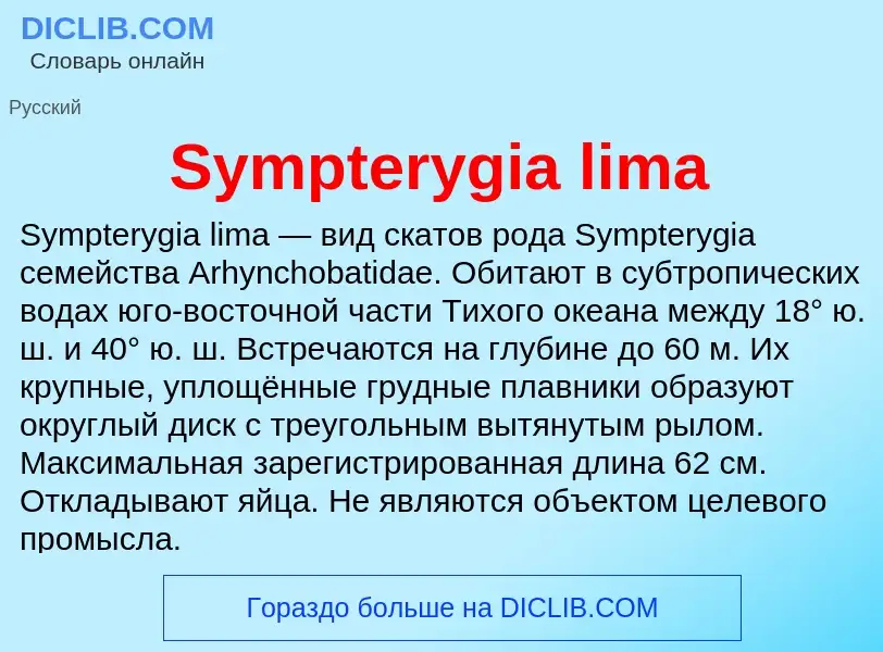 Wat is Sympterygia lima - definition