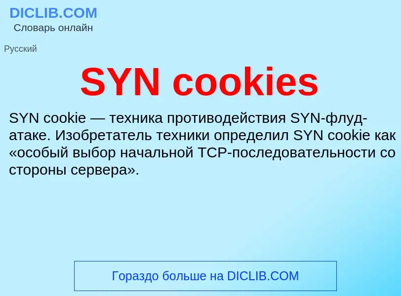 ¿Qué es SYN cookies? - significado y definición