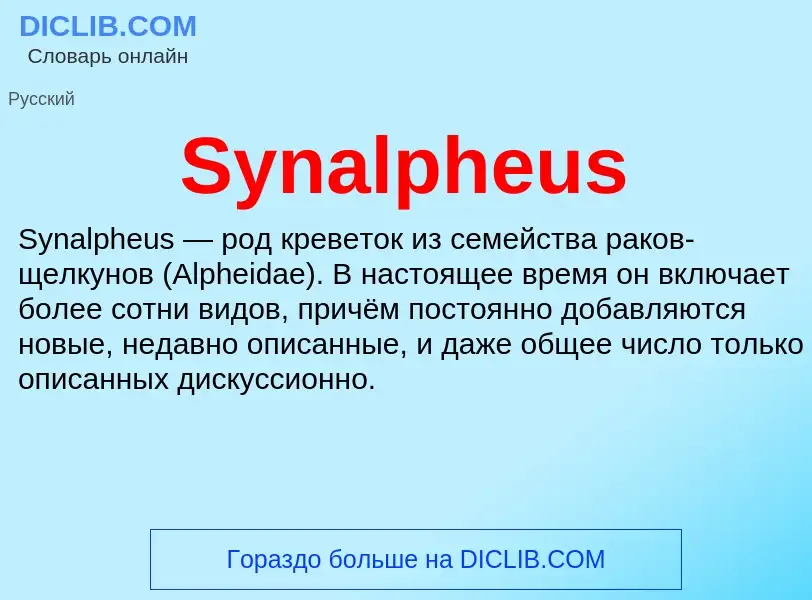 What is Synalpheus - meaning and definition