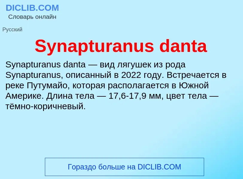 What is Synapturanus danta - meaning and definition