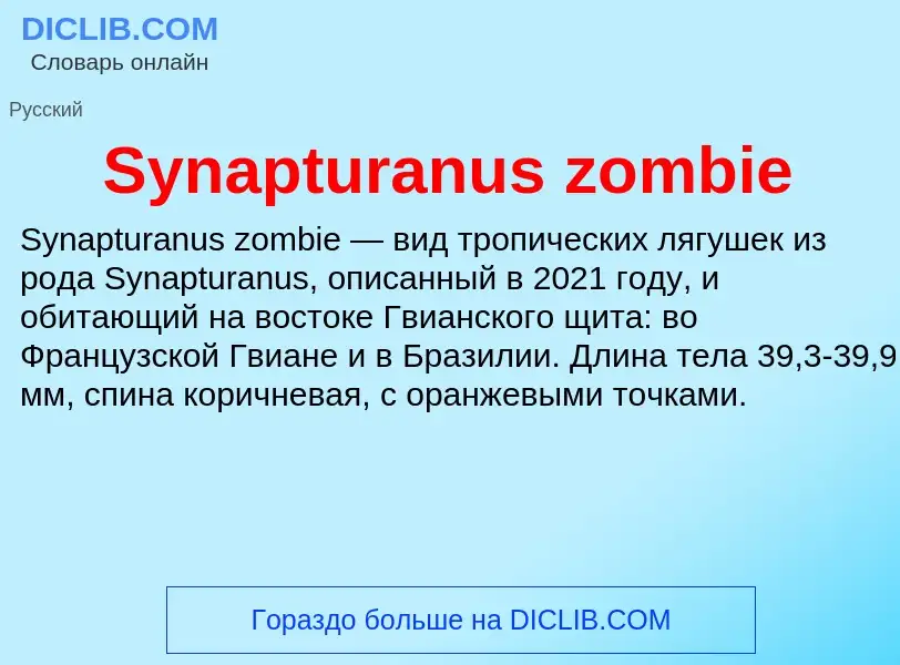 Wat is Synapturanus zombie - definition