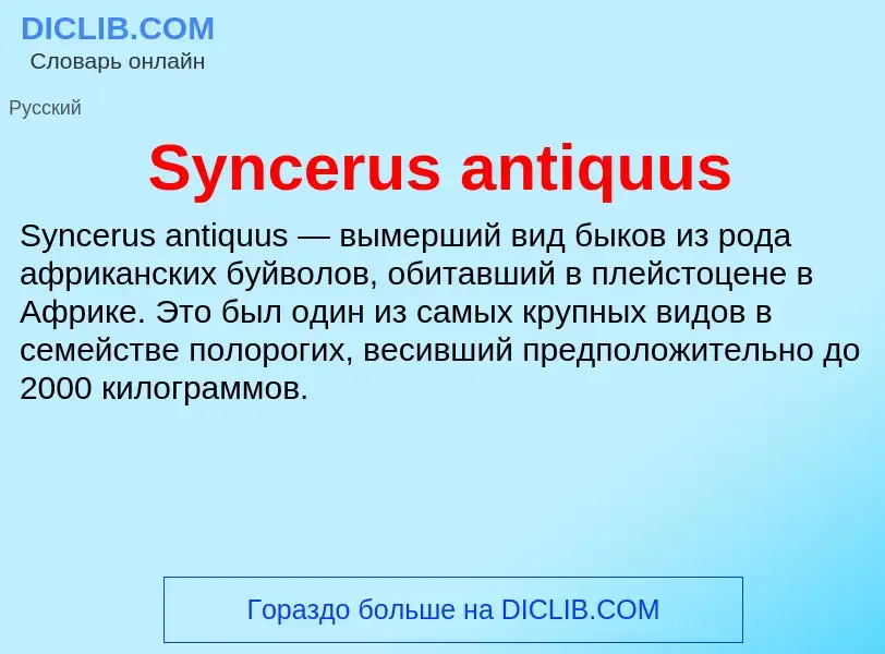 Wat is Syncerus antiquus - definition