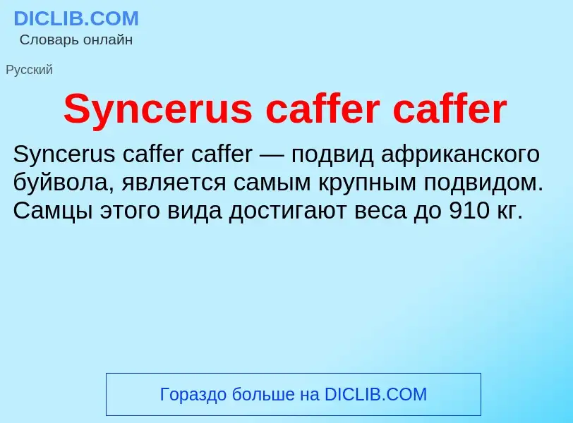 Τι είναι Syncerus caffer caffer - ορισμός