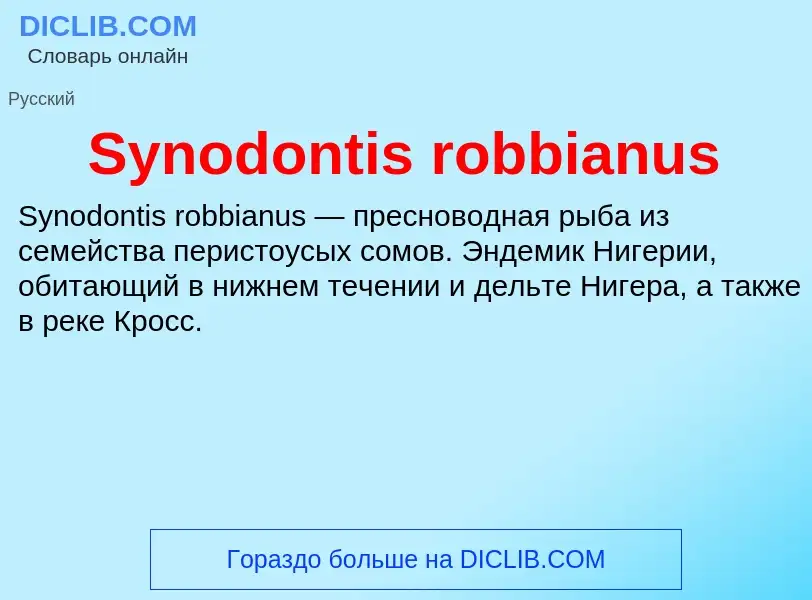 What is Synodontis robbianus - meaning and definition