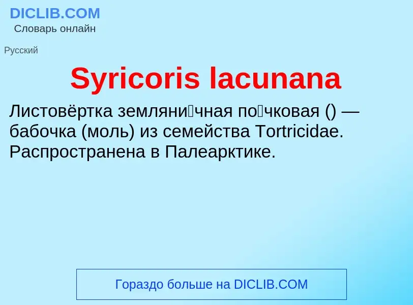 Wat is Syricoris lacunana - definition