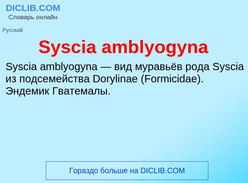 Τι είναι Syscia amblyogyna - ορισμός