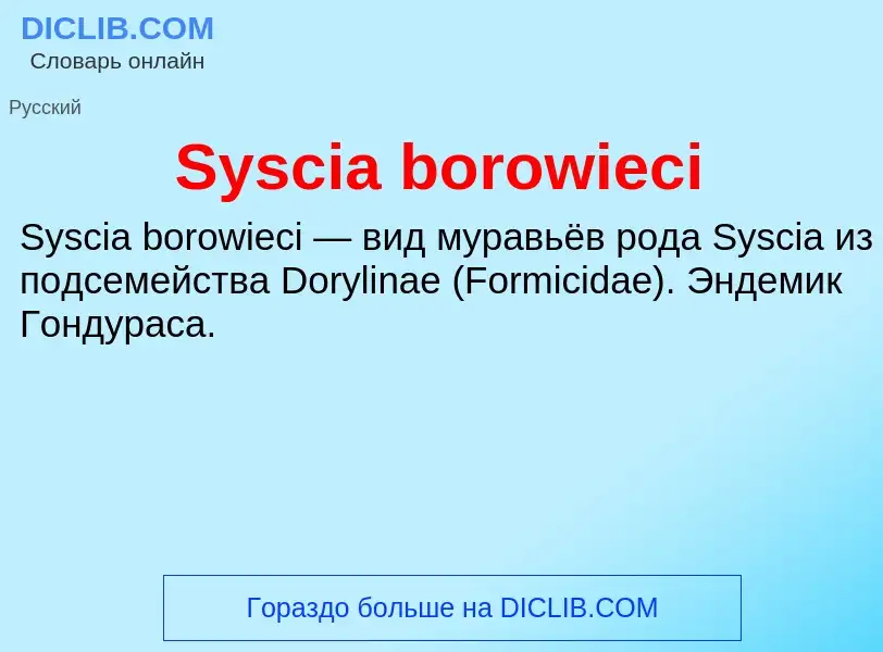 Wat is Syscia borowieci - definition