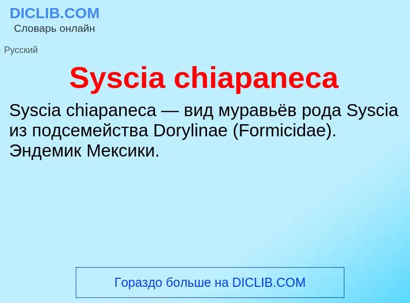 What is Syscia chiapaneca - meaning and definition