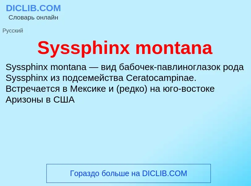 Что такое Syssphinx montana - определение