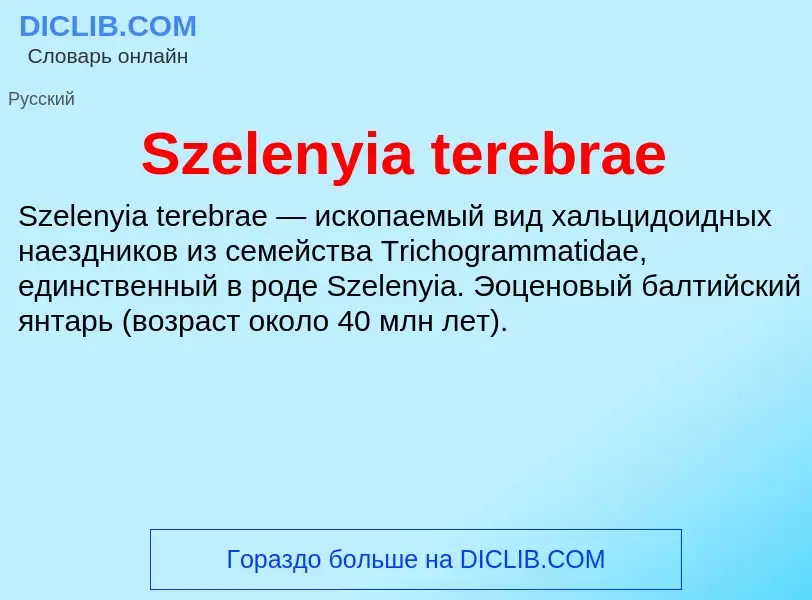 Что такое Szelenyia terebrae - определение