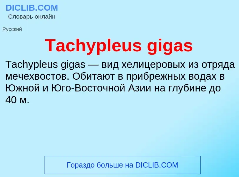 Что такое Tachypleus gigas - определение