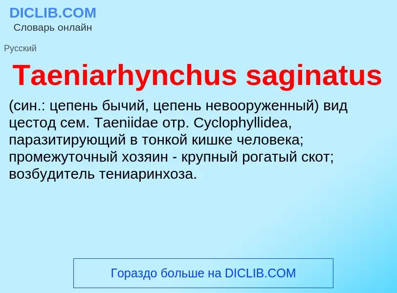 Что такое Taeniarhynchus saginatus  - определение