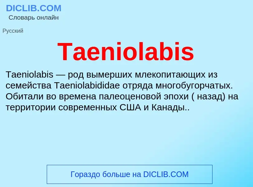 Wat is Taeniolabis - definition