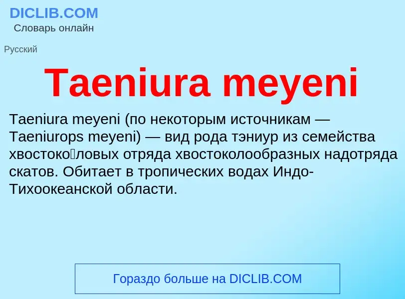 Wat is Taeniura meyeni - definition