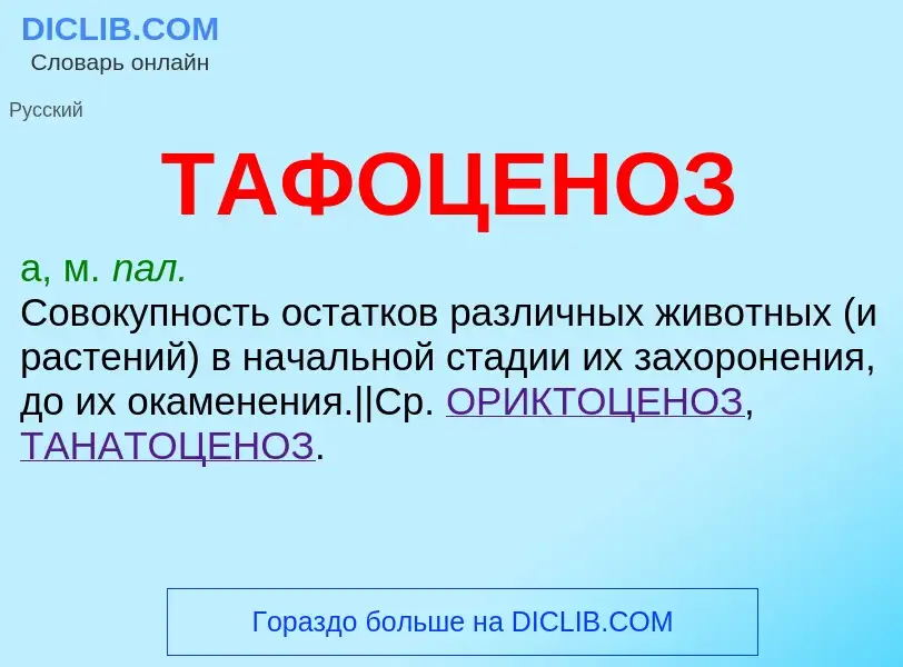 Wat is ТАФОЦЕНОЗ - definition