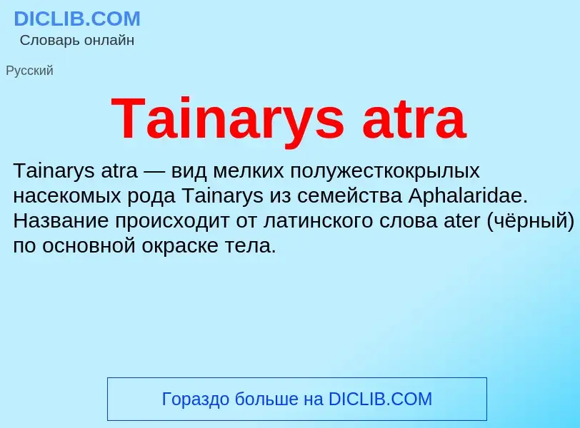 Wat is Tainarys atra - definition