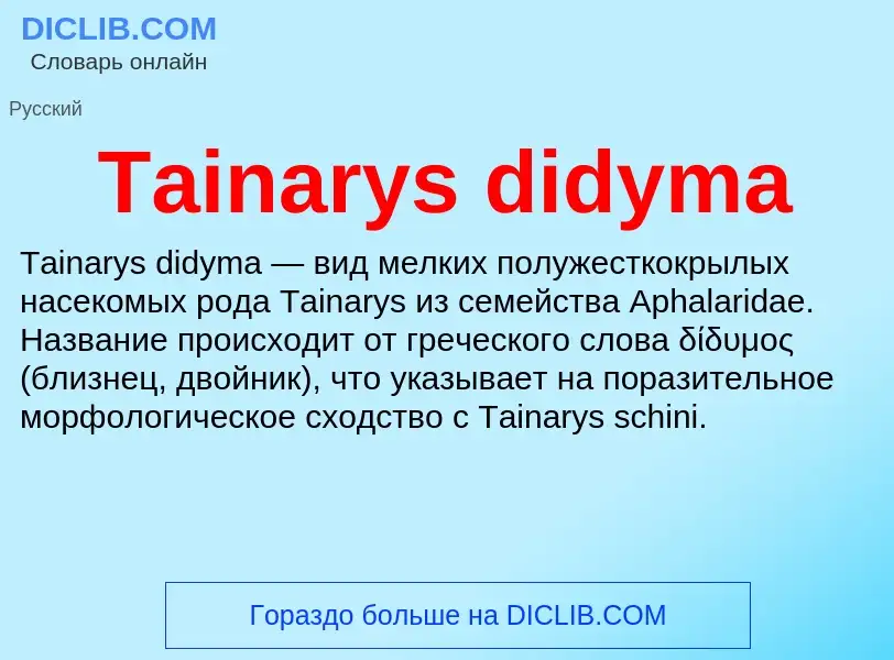 Что такое Tainarys didyma - определение