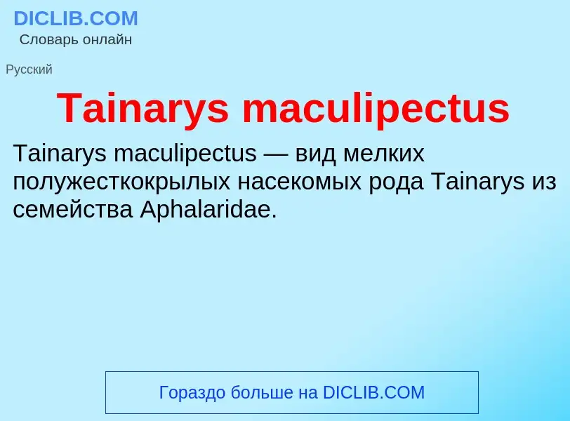 Что такое Tainarys maculipectus - определение