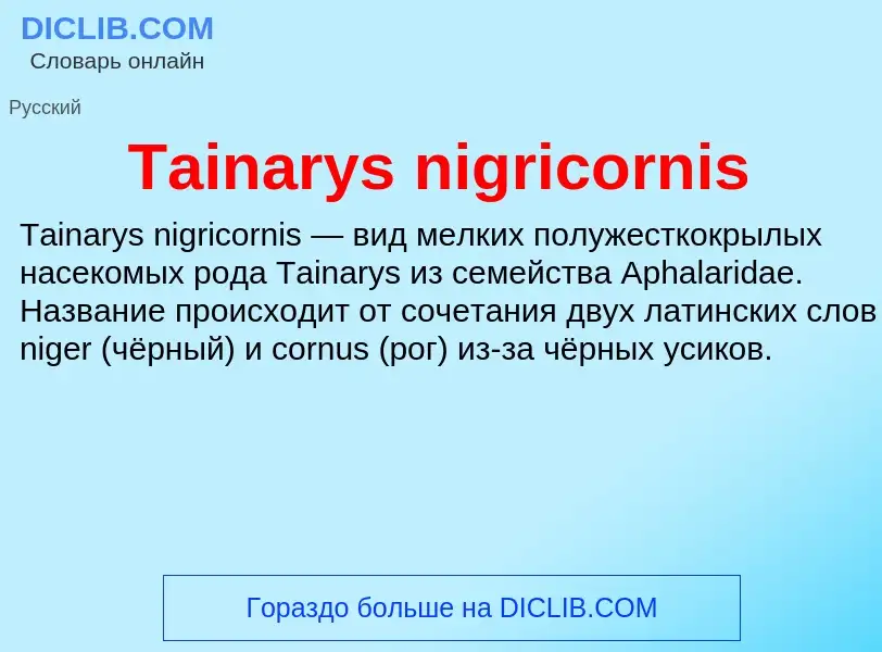 Τι είναι Tainarys nigricornis - ορισμός