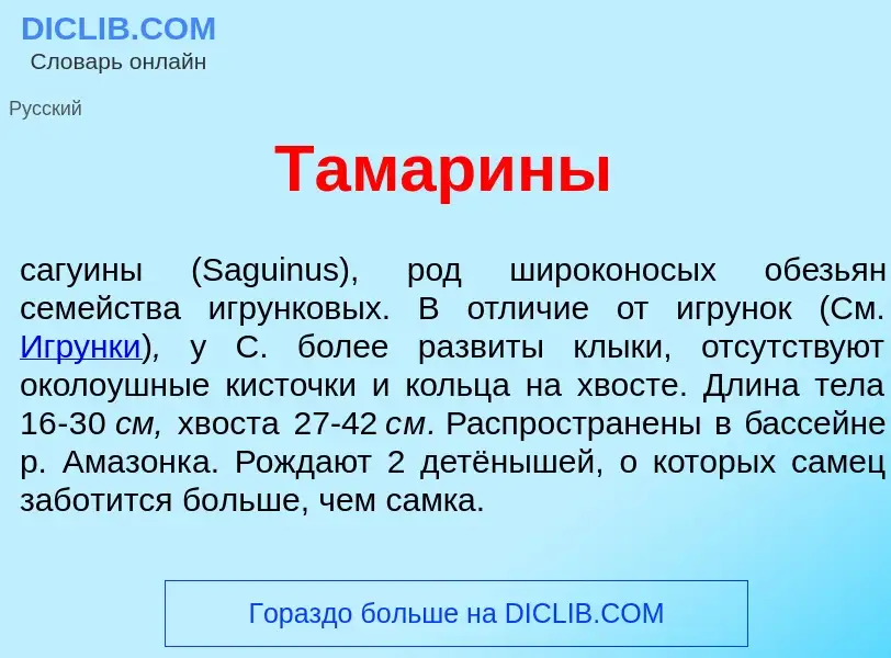 Что такое Тамар<font color="red">и</font>ны - определение