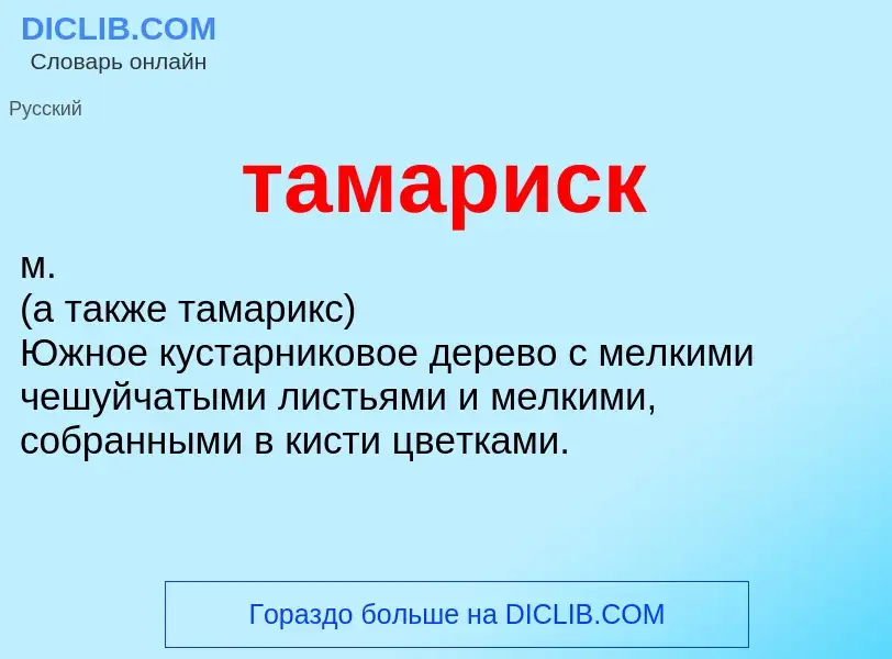 O que é тамариск - definição, significado, conceito