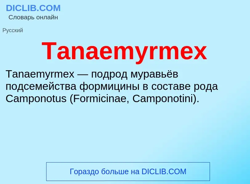 Τι είναι Tanaemyrmex - ορισμός