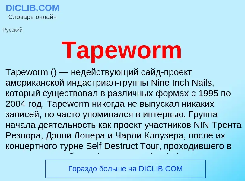 Wat is Tapeworm - definition