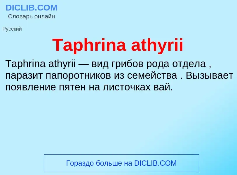 Wat is Taphrina athyrii - definition