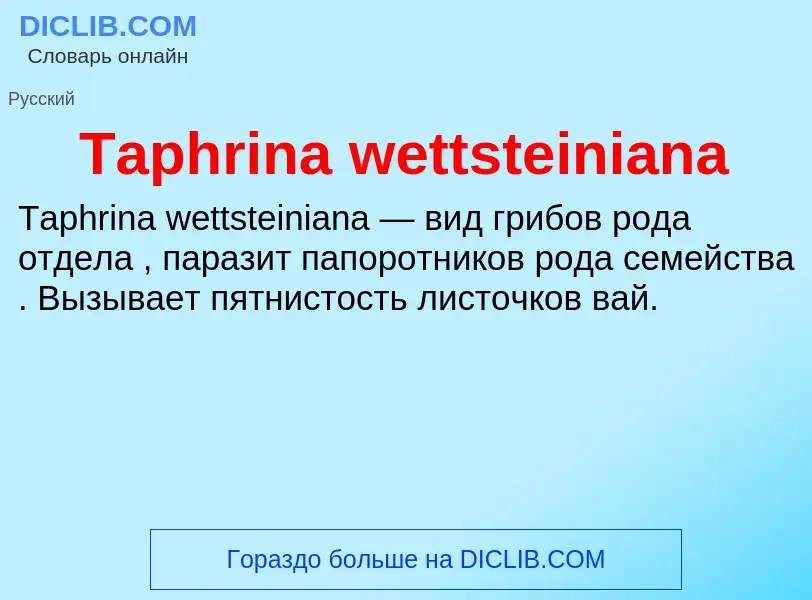 Wat is Taphrina wettsteiniana - definition