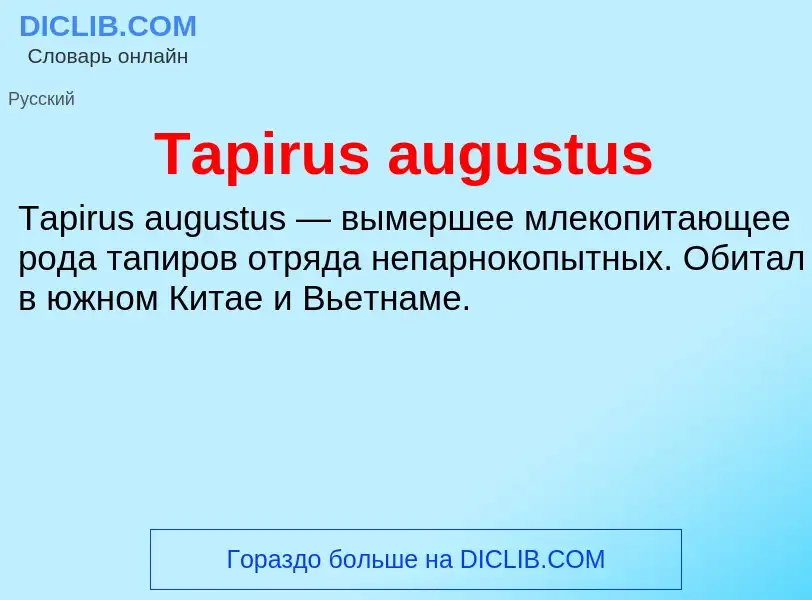 Wat is Tapirus augustus - definition