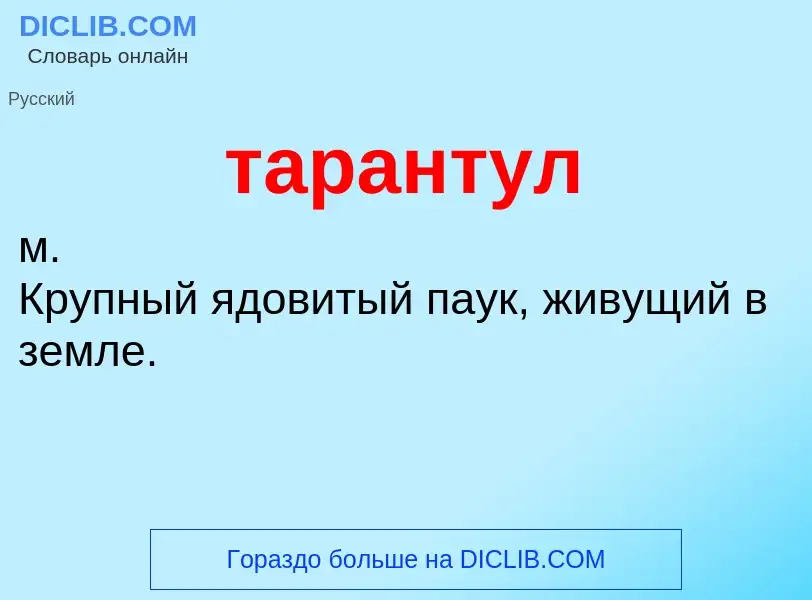 Что такое тарантул - определение