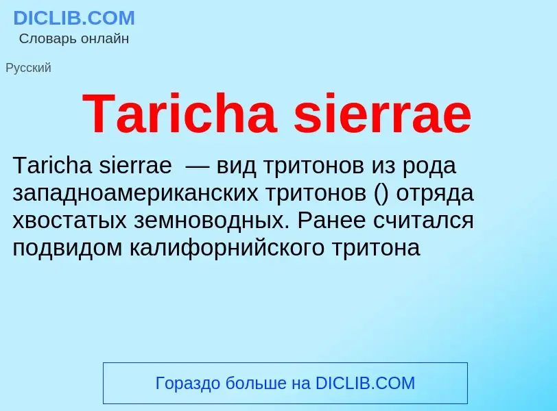 Wat is Taricha sierrae - definition