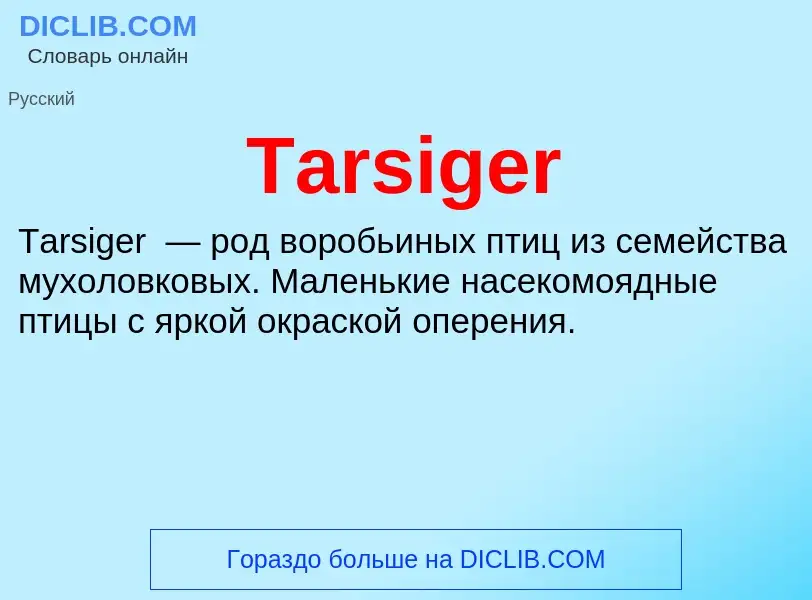 Wat is Tarsiger - definition