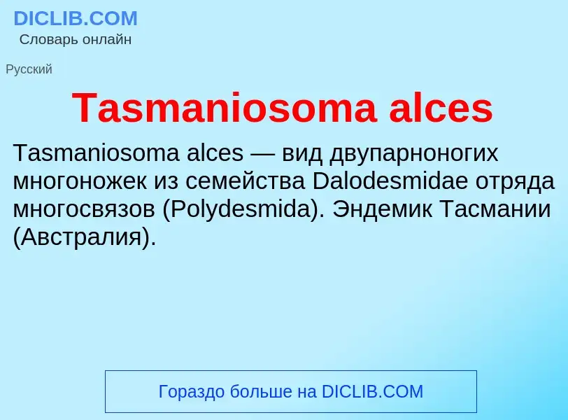 Wat is Tasmaniosoma alces - definition