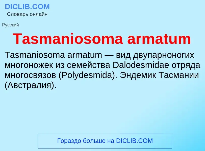 Wat is Tasmaniosoma armatum - definition