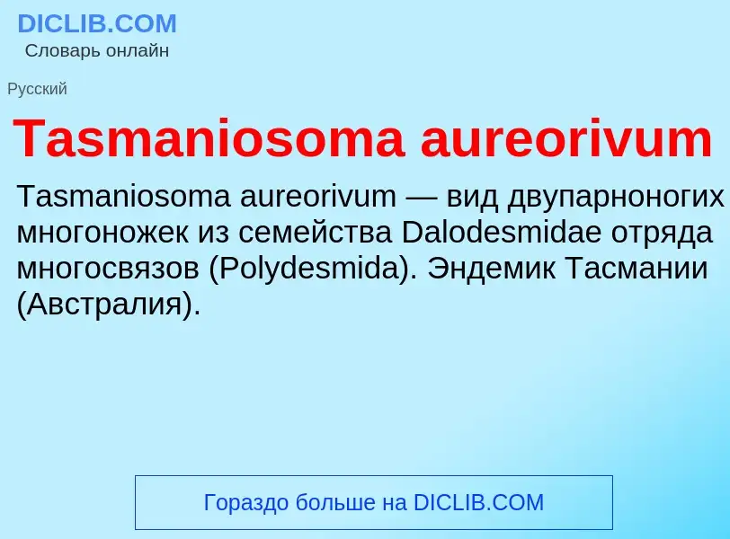 Wat is Tasmaniosoma aureorivum - definition