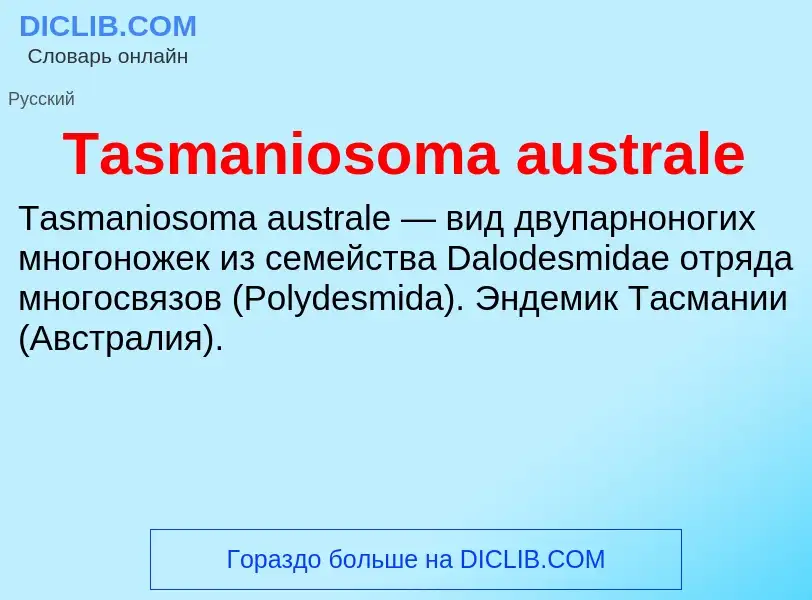 Wat is Tasmaniosoma australe - definition