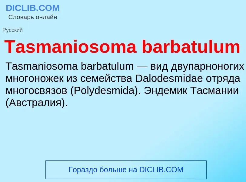 Wat is Tasmaniosoma barbatulum - definition