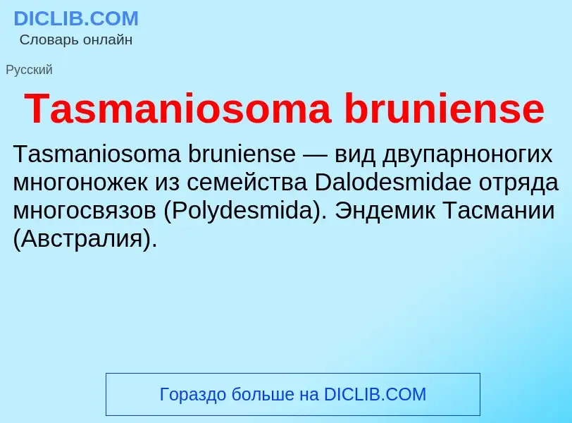 Wat is Tasmaniosoma bruniense - definition