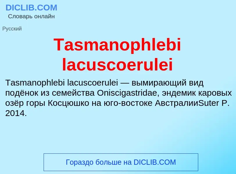 Wat is Tasmanophlebi lacuscoerulei - definition