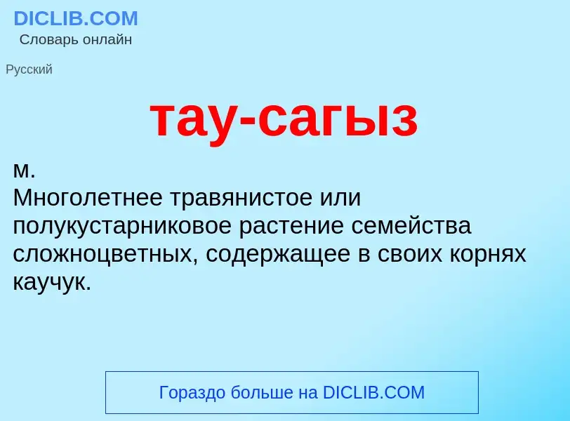 What is тау-сагыз - meaning and definition