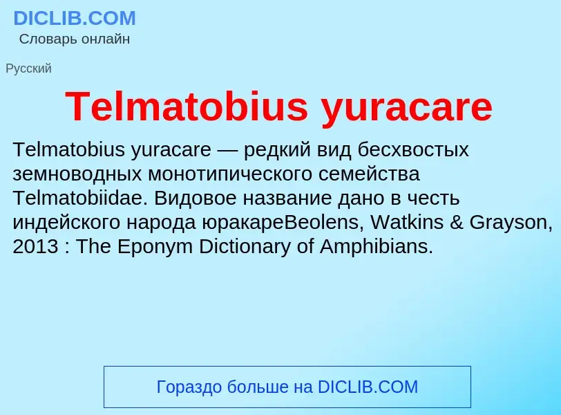 Τι είναι Telmatobius yuracare - ορισμός