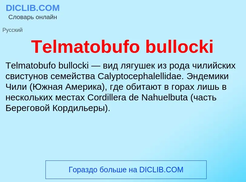 Τι είναι Telmatobufo bullocki - ορισμός