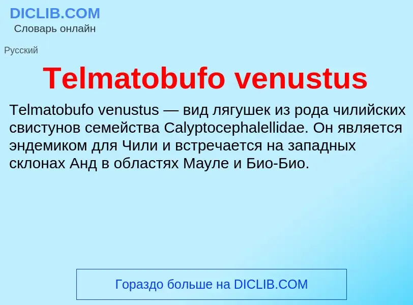 What is Telmatobufo venustus - meaning and definition