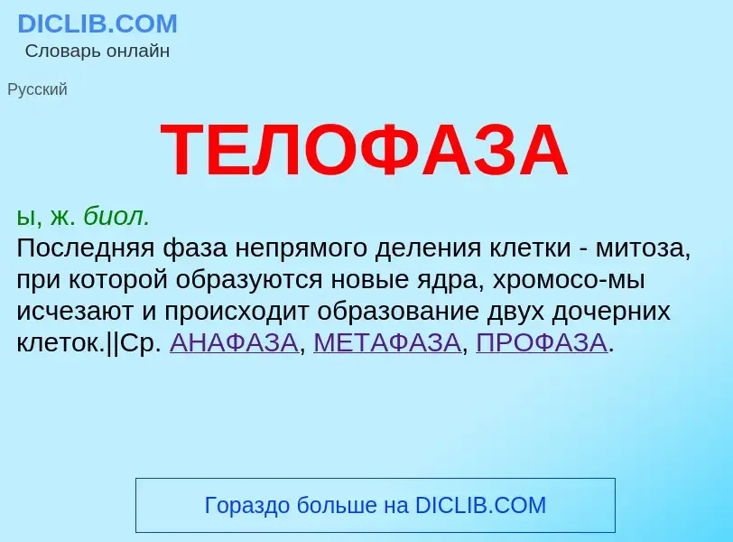 Wat is ТЕЛОФАЗА - definition