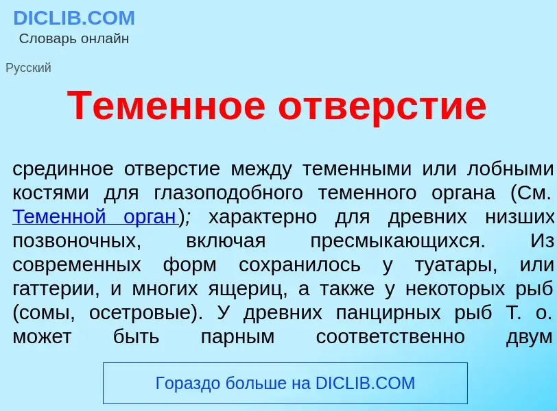 Что такое Теменн<font color="red">о</font>е отв<font color="red">е</font>рстие - определение