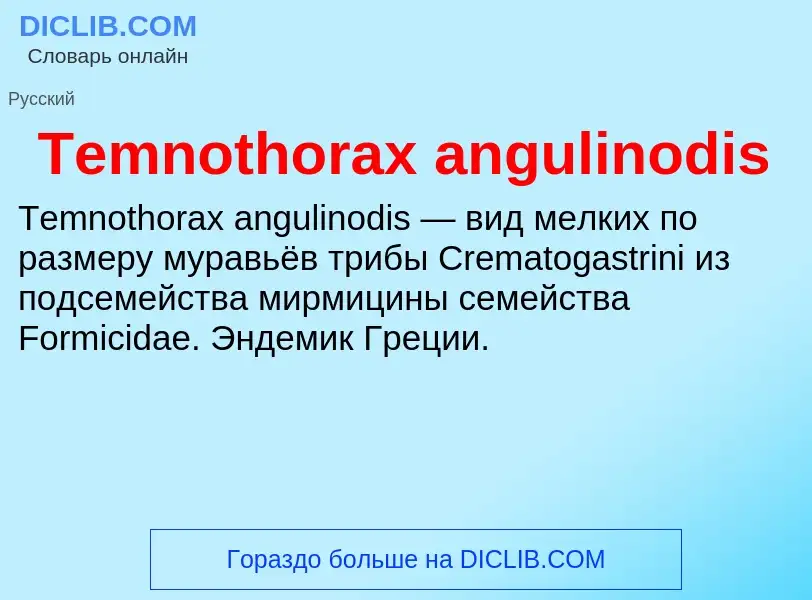 What is Temnothorax angulinodis - meaning and definition