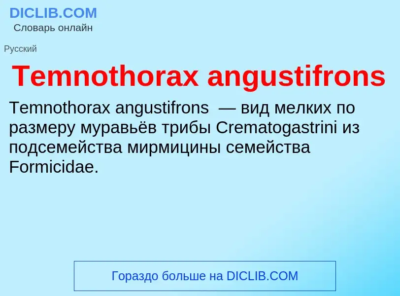 Τι είναι Temnothorax angustifrons - ορισμός