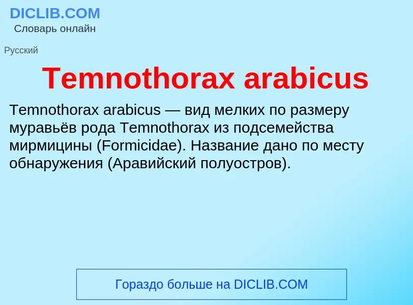 Τι είναι Temnothorax arabicus - ορισμός