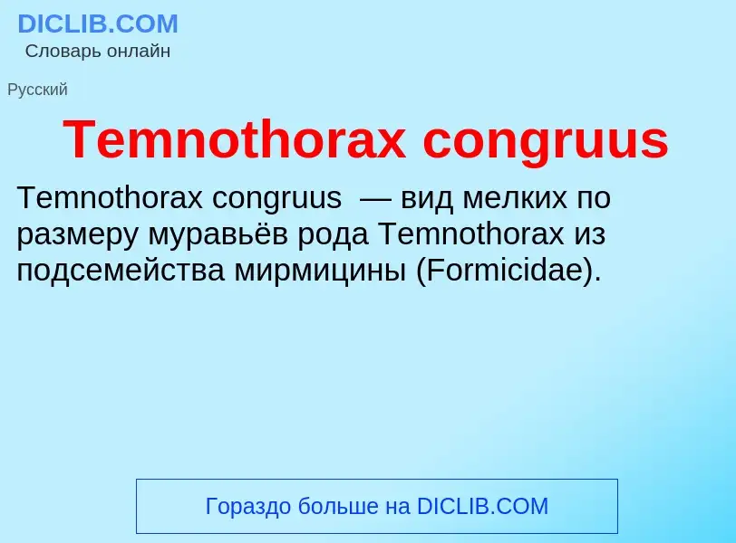 Τι είναι Temnothorax congruus - ορισμός